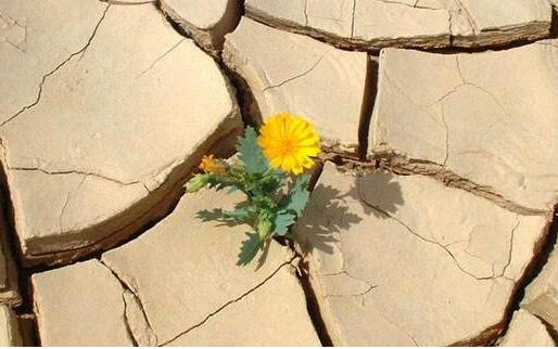 现金贷排查全名单曝光，或许只有这两类平台能(图1)